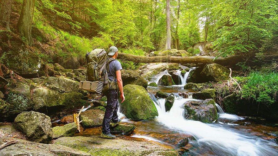 Natur, Draußen, Streamen, Wandern, Regenwald,